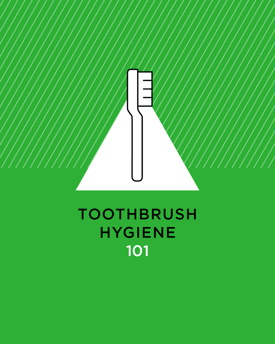 Your toothbrush might be full of germs! Bacteria love damp bristles. Here’s how to fight back:

🪥 Replace every 3 months (or sooner if bristles fray) 
🪥 Rinse thoroughly after each use Store upright to air dry 
🪥 Refrain from sharing your toothbrush