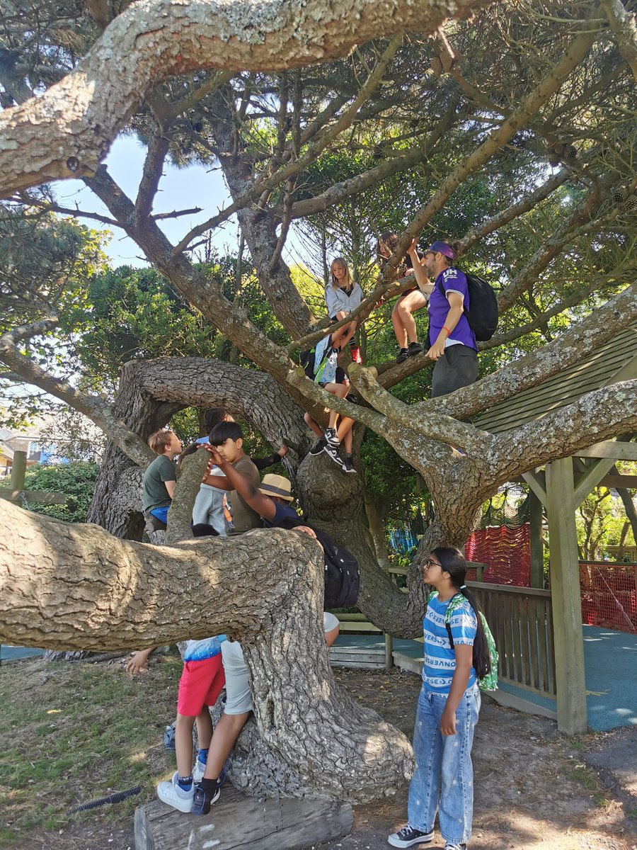 MrsMakinson tweet media