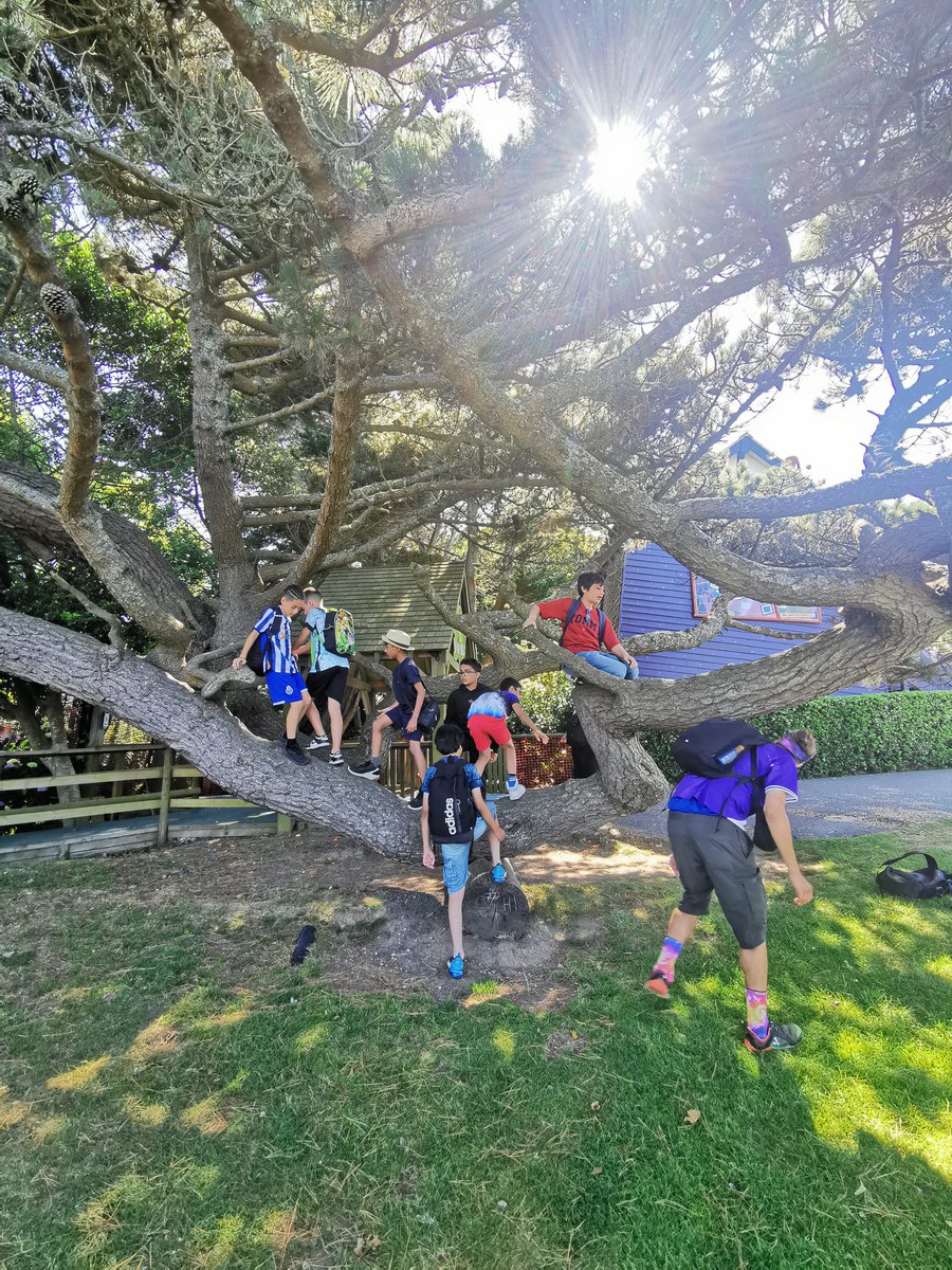 MrsMakinson tweet media