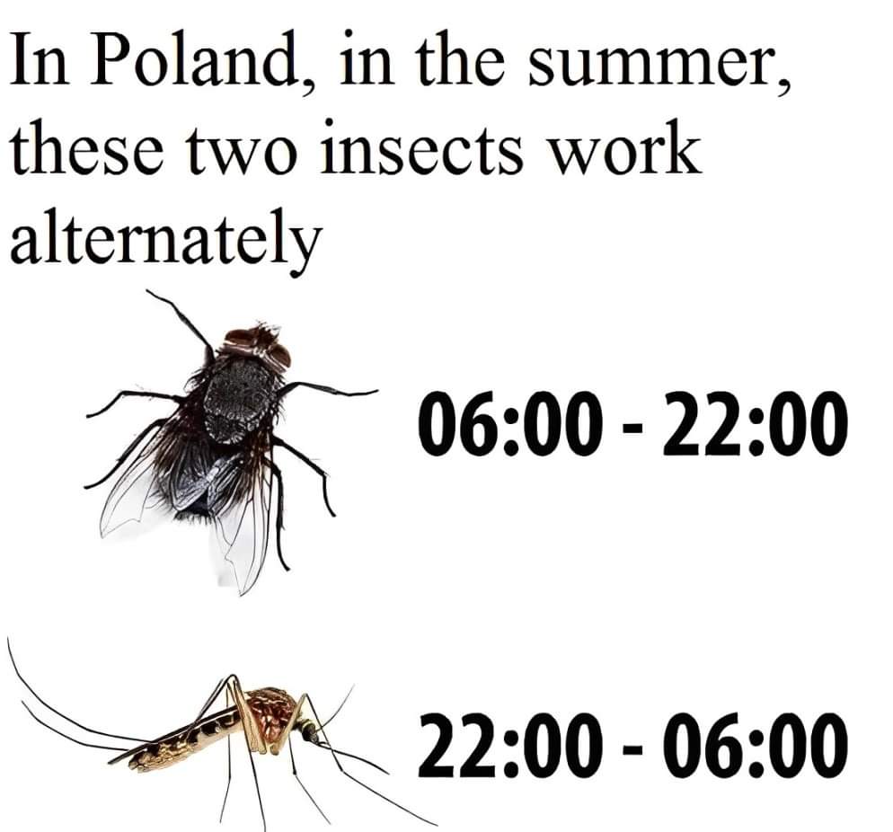 Bosman0700's tweet image. 