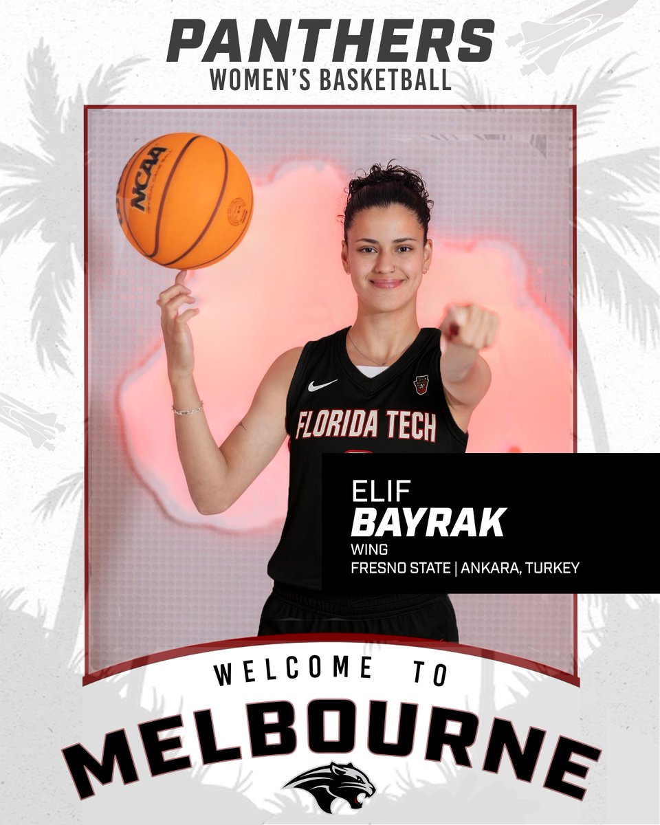 FloridaTechWBB's tweet image. Left the kennel, joined the jungle! 🌴🌿

#GoPanthers | #TechBuilt