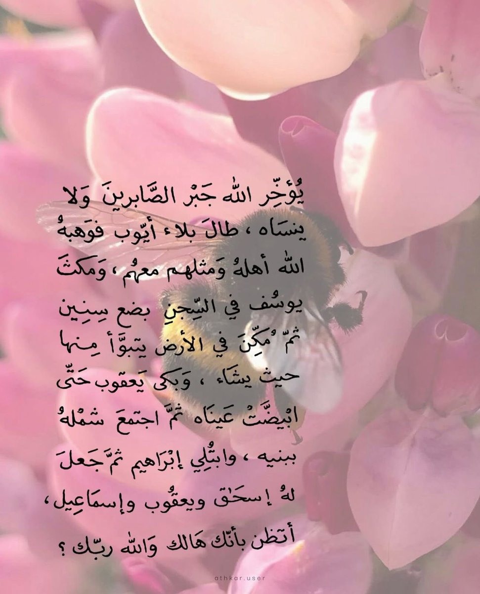 klm_b1's tweet image. 