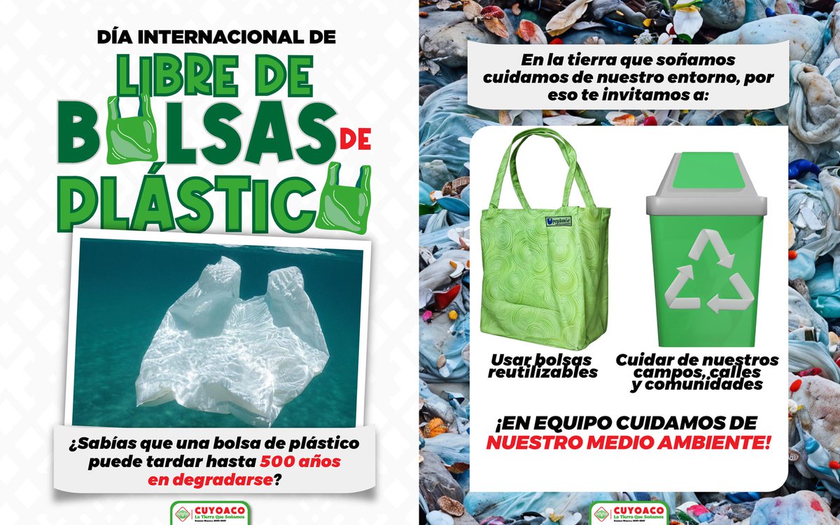 ♻️ En #LaTierraQueSoñamos, cada acción cuenta para cuidar de nuestro entorno.
Hoy, en el Día Internacional Libre de Bolsas de Plástico, te invitamos a sumarte al cambio usando alternativas reutilizables. 🌍💚