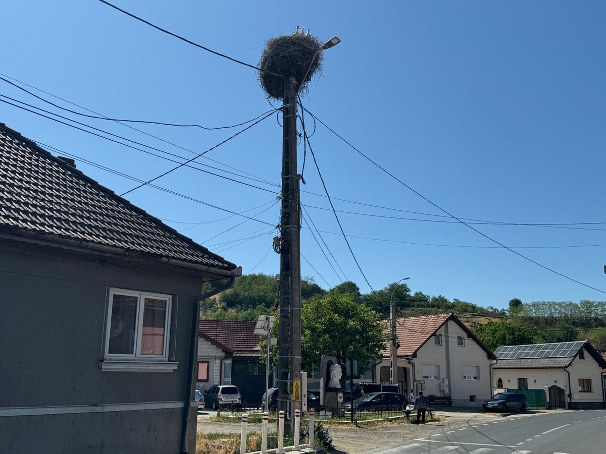 Consano Earth tweet media