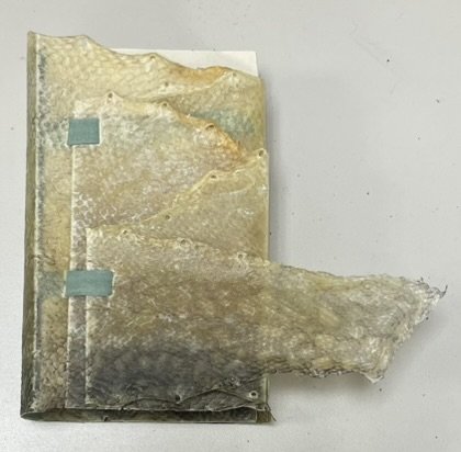 UChicago Library tweet media