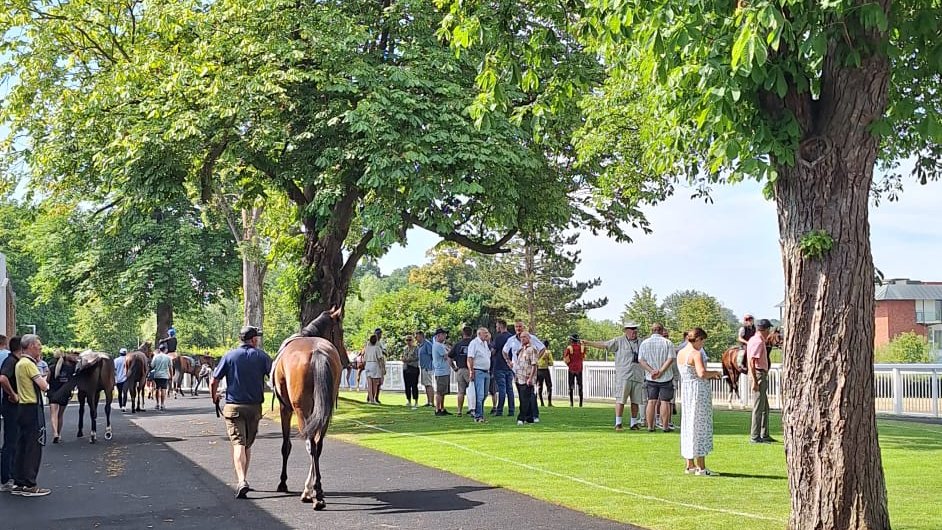 Lingfield Park tweet media