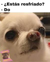 Muy buen día!!!! Casi viernes y mi resfrío no lo sabe, es más, aún ni se entera 😅