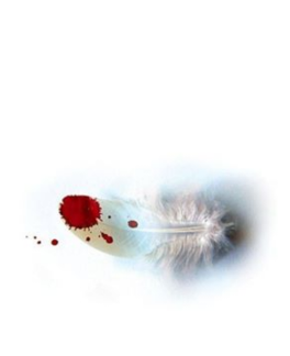 FatanZarin's tweet photo. ای از ازل به مهر تو دل آشنا، حسین
وی تا ابد لوای عزایت به پا، حسین
امواج اشک از سر هفت آسمان گذشت
آن دم که کرد ج��م تو در خون شنا، حسین
من کیستم که گریه کنم در عزای تو
گریند روز و شب به غمت انبیا، حسین

حسرت برم به محتضری، کآخرین نفس
روی تو دید و خندید و گفت: یا حسین... https://t.co/VZxXnx4O6X
