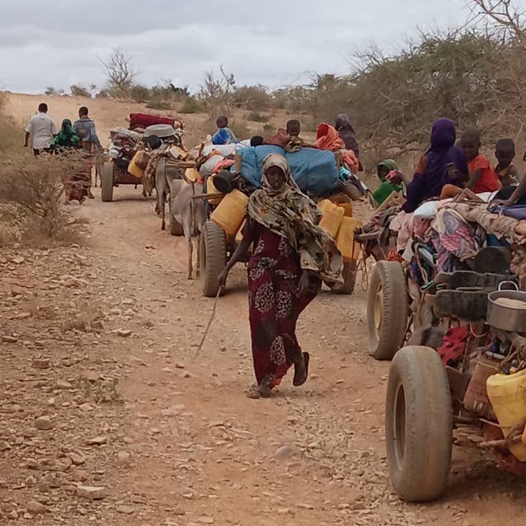 🚨 Ongoing Gu’ Season (long rains) Multi-Sectoral Assessment in Somali Region, Ethiopia 🇪🇹.

RACIDA joins national partners in Liban, Afder, Fafan &amp; Sitti zones to assess seasonal hazards, livelihood impacts &amp; urgent needs in pastoral &amp; agro-pastoral areas.

  #RACIDA