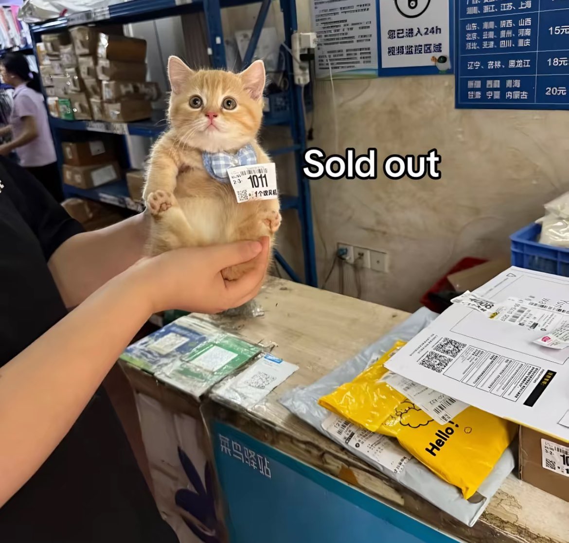 sold out so fast 😔