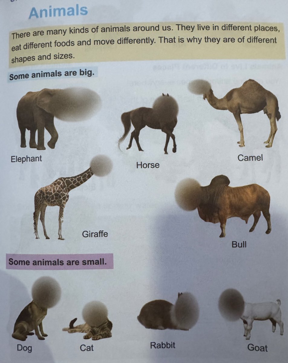 Imagine what leaps the world is making in science and our authorities are too busy blurring out faces of animals on textbooks that are already so much below par. 

#Afghanistan