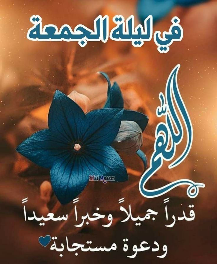 ثريــــــــــــاء 🇸🇦💚 tweet media