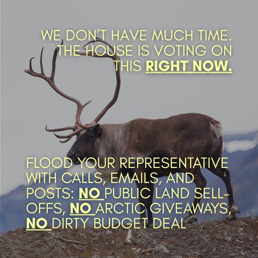 alaskawild's tweet image. Think all the public lands threats were removed from the Senate budget bill?

Not Quite.

📞 The House is voting NOW. Call 888-873-0885 and demand your Representative #StopTheArcticSellOff and #ProtectTheArctic before it’s too late.