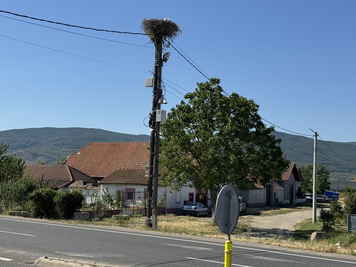 Consano Earth tweet media