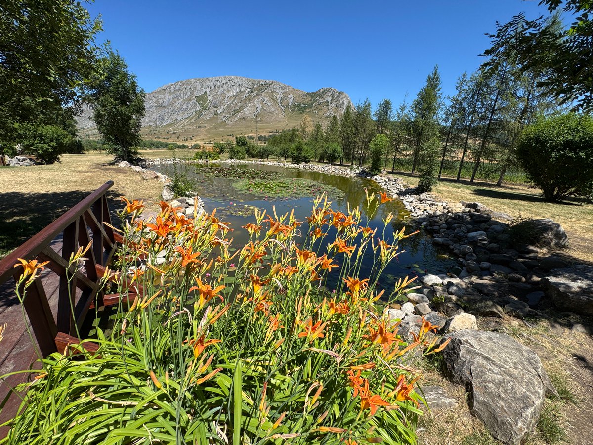 Consano Earth tweet media