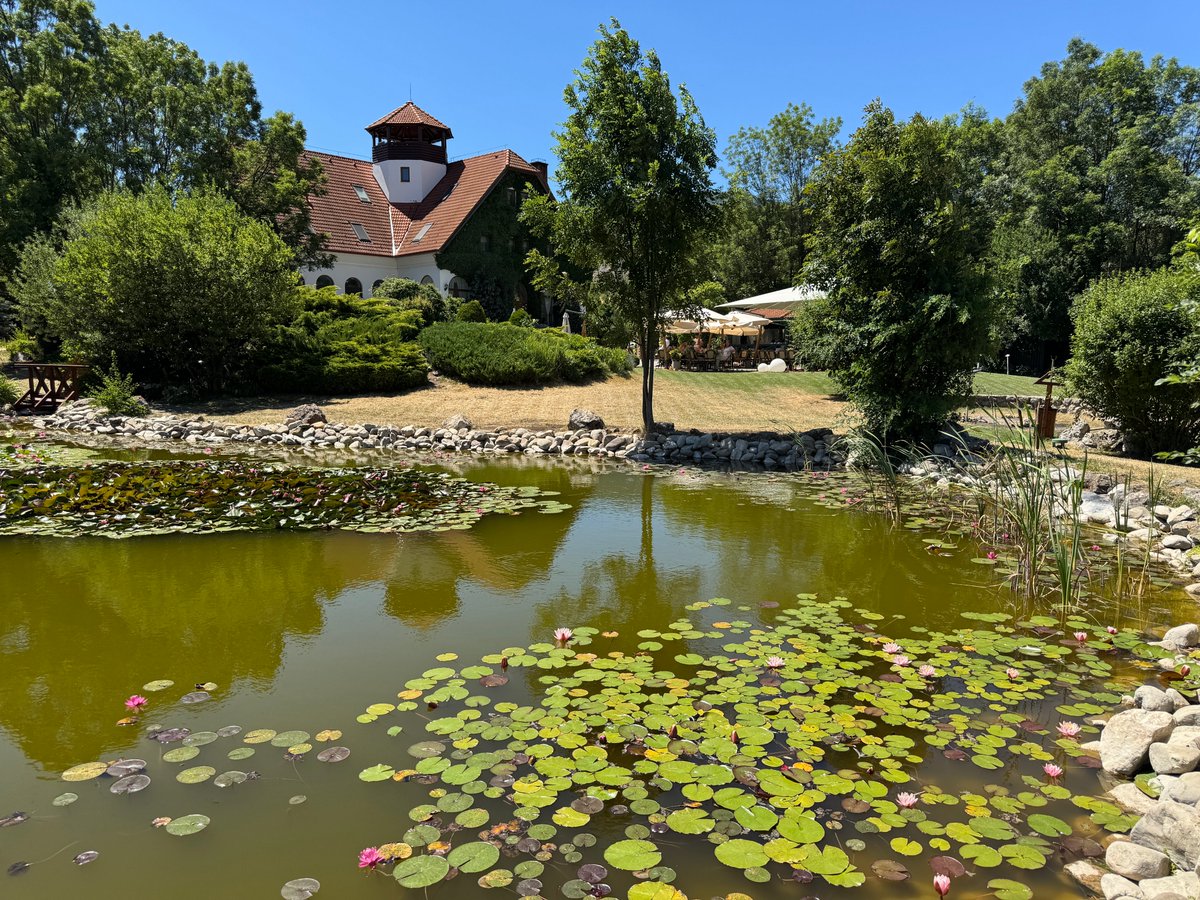 Consano Earth tweet media