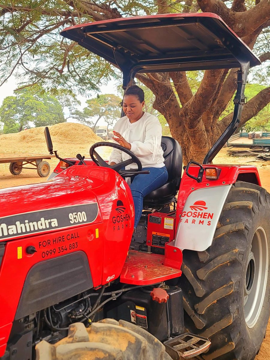 psbushiri_'s tweet image. Pray at night and work at noon.
Photo credit: Goshen Farms media team.