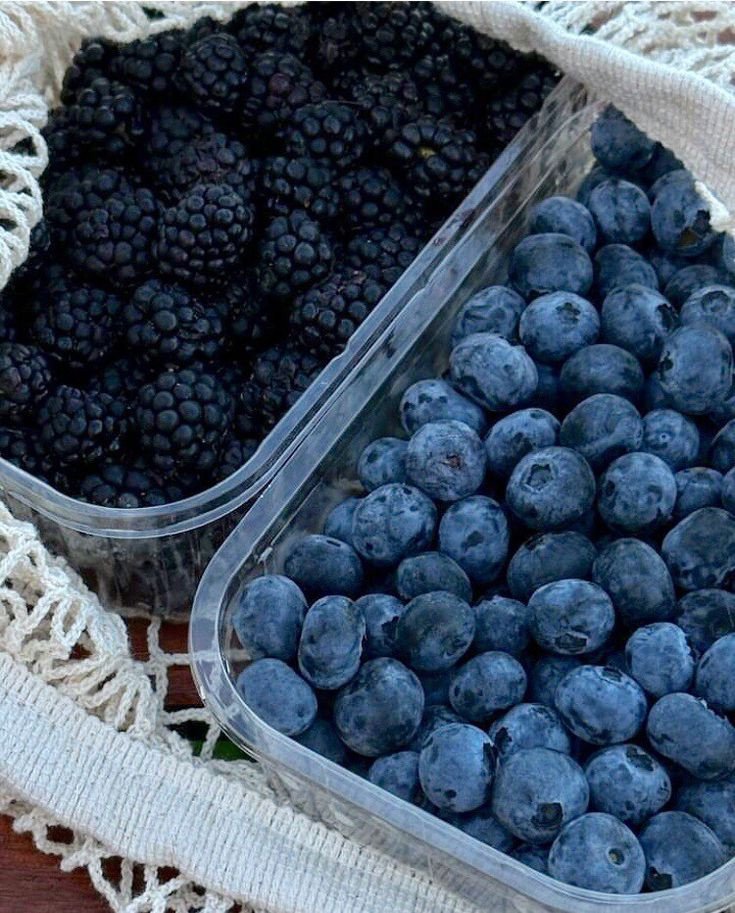 Blueberry earrings 🍃