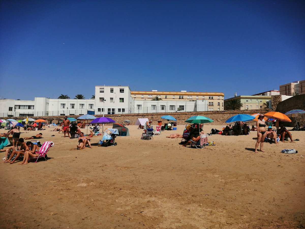 PINFUVOTE tweet media