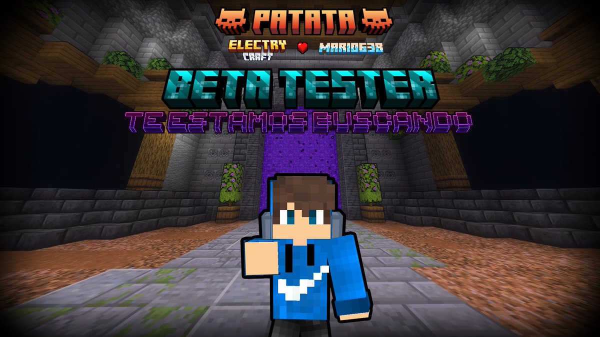 ⚡ElectryCraft⚡ tweet media