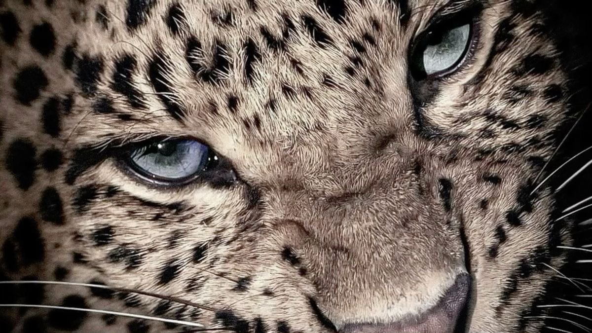 الزيـن (@kittyalzaiin) on Twitter photo 