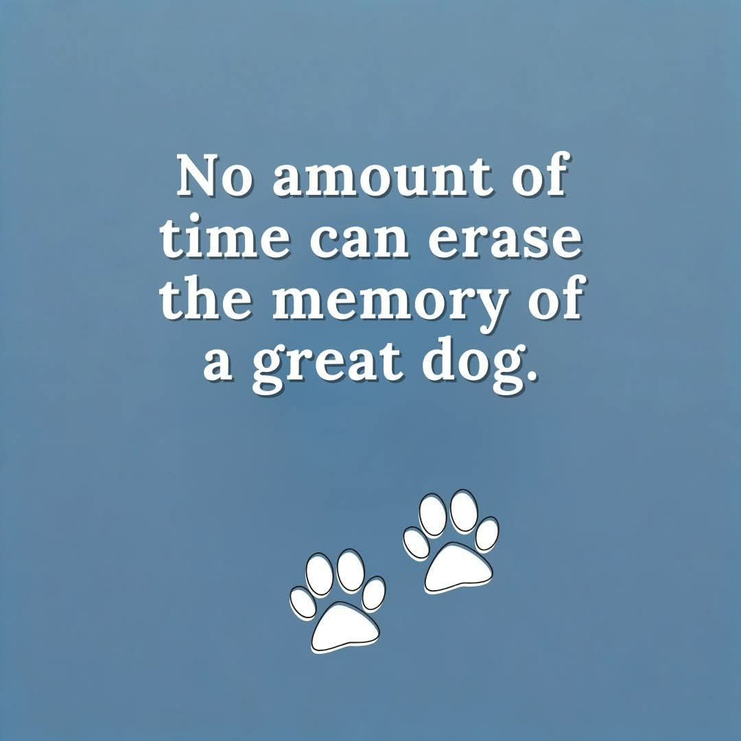 𝕏 Dogs (@_xdogs) on Twitter photo 