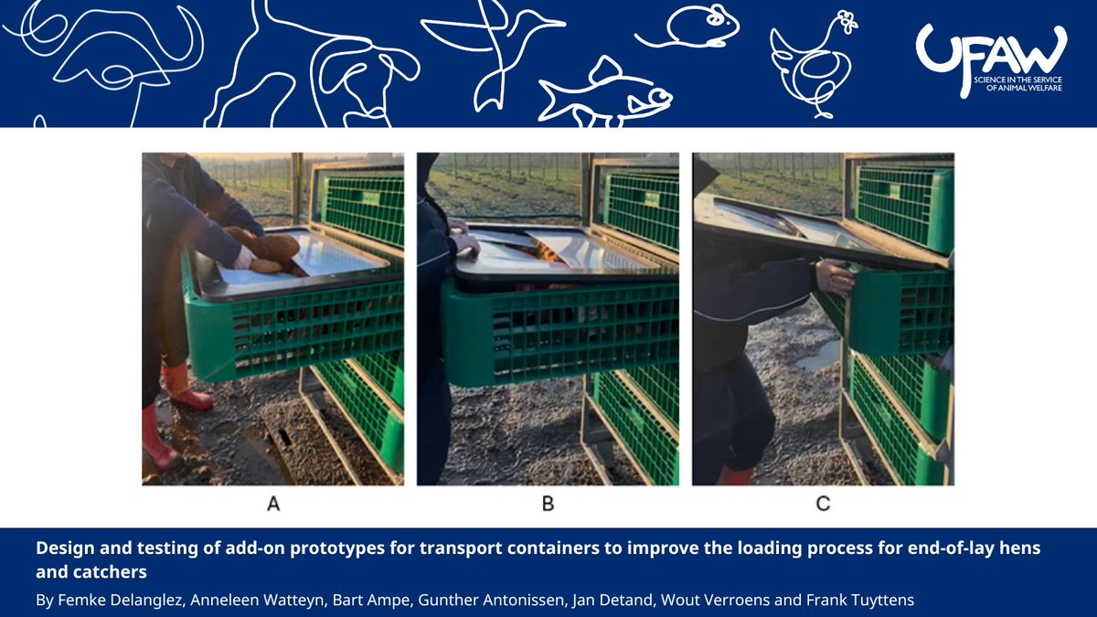 AW_TheJournal's tweet image. π NEW STUDY assesses transport container modifications designed to improve welfare for end-of-lay hens and reduce strain on catchers during the loading process.
π Read the full article here: doi.org/10.1017/awf.20β¦
#AnimalWelfareScience #AnimalWelfare