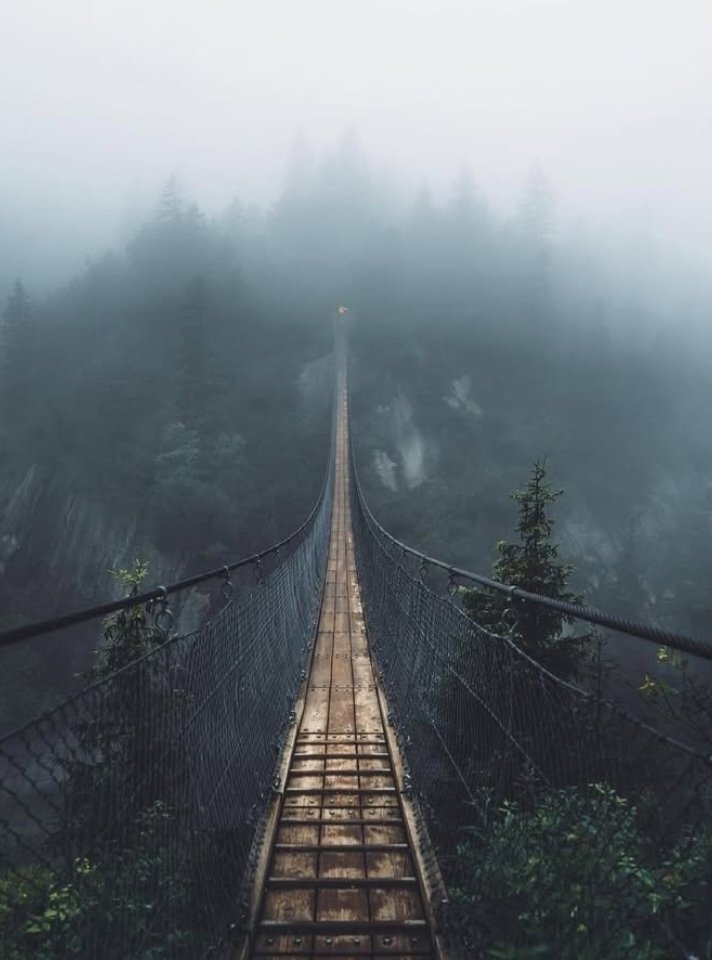 Into the unknown…
There’s something magical about a bridge disappearing into the mist — where the forest whispers secrets and each step feels like an adventure waiting to unfold. 🌲🌁✨

📸 Credit: @more.than.running via @nomadict

#FoggyForest #MysticWoods #WanderThroughWonder