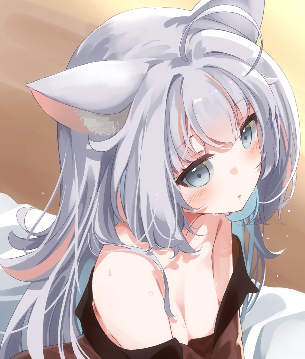 #あんねの絵本棚