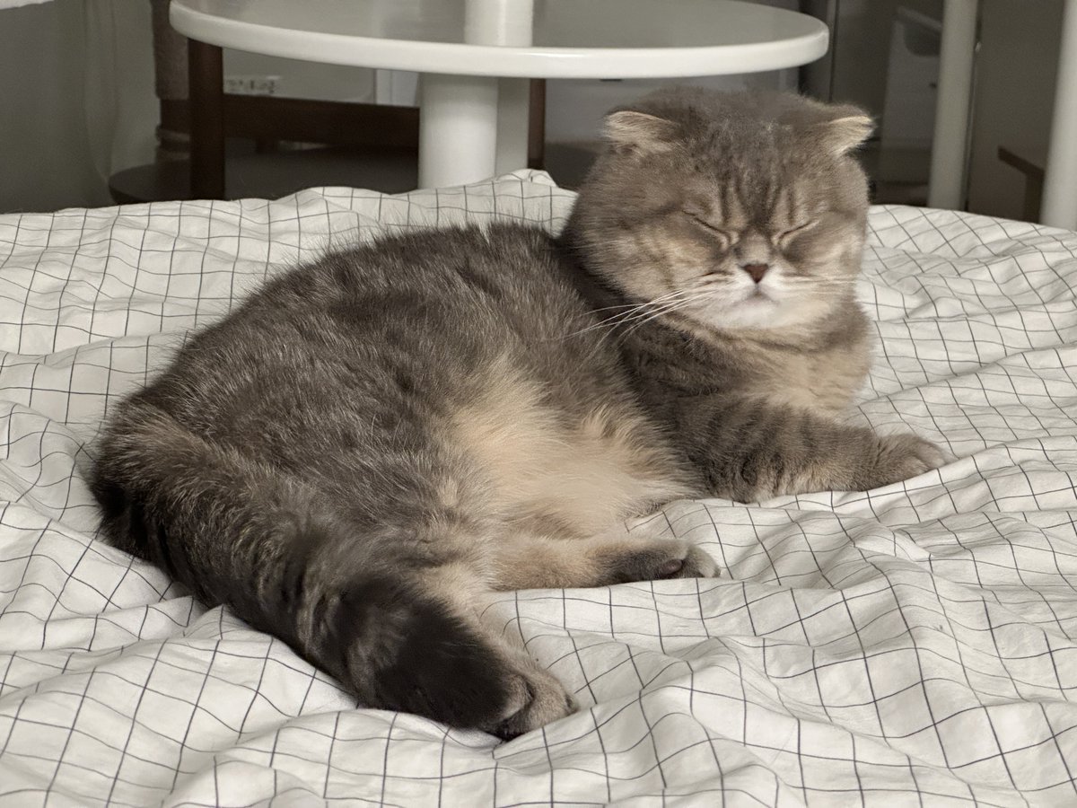 กดถ่ายแบบรัวๆ รูปเดียวที่ชีดูไม่โกดแม่คือรูปหลับตา 🥲