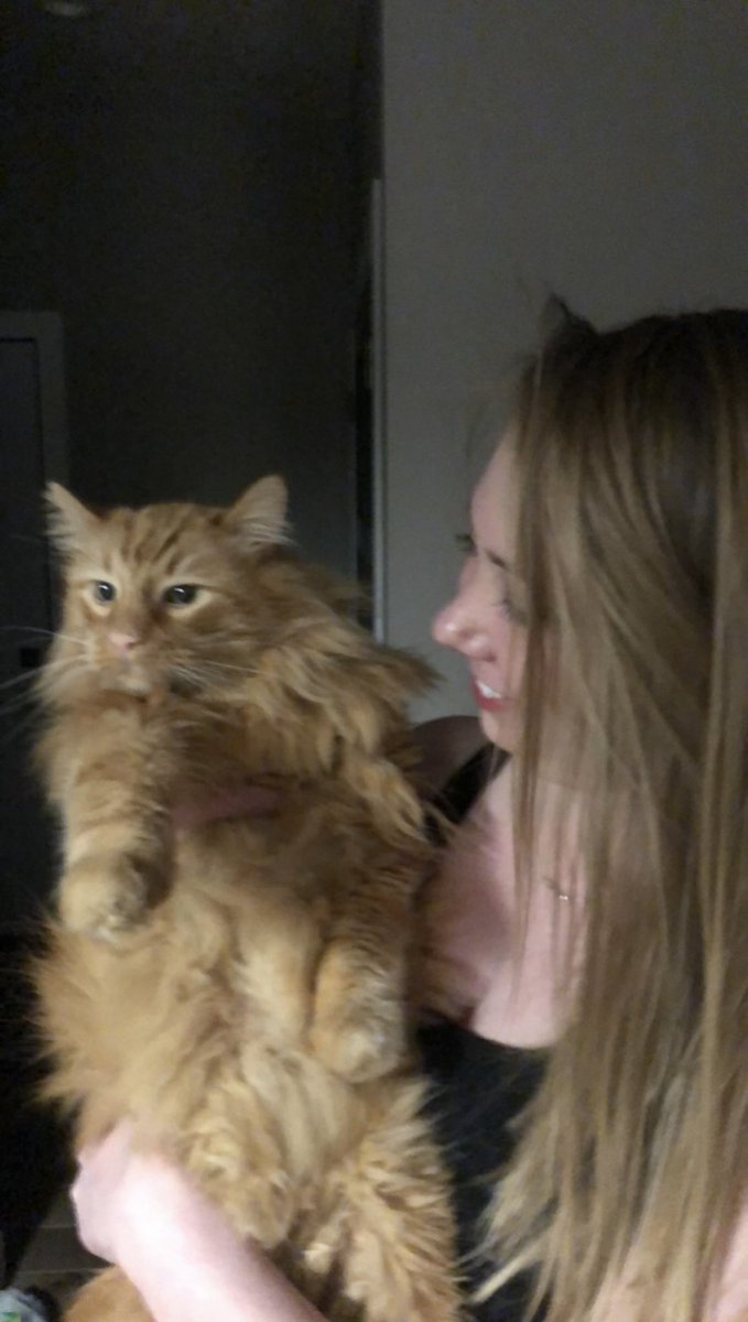 GuitarmanJoel's tweet image. Friends, would you please pray for our gentle giant Hendrix? He only has a few hours left. He’s over 17 years old and has a heart ❤️ of gold. He’s still purring with what little strength he has left. Please go gently 😭. We’re going to miss him.