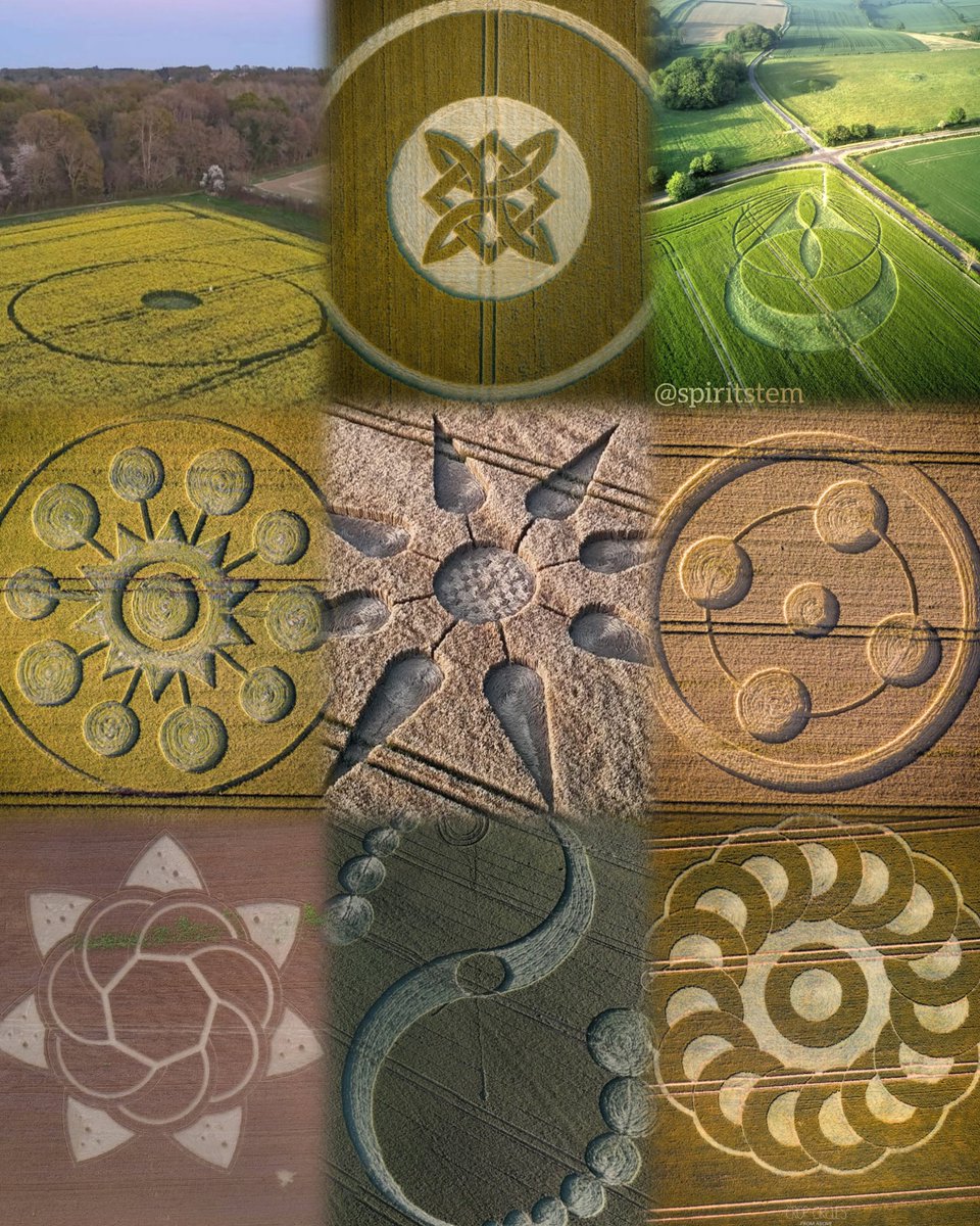 Crop Circles 🌾🌀 1-9

It’s been an amazing season so far!

We’ve had 9 crop circles already. Before we get into the double digits, here’s a compilation of what we’ve seen 👀

Lots of sacred geometry, symbology &amp; references to what's in the collective...