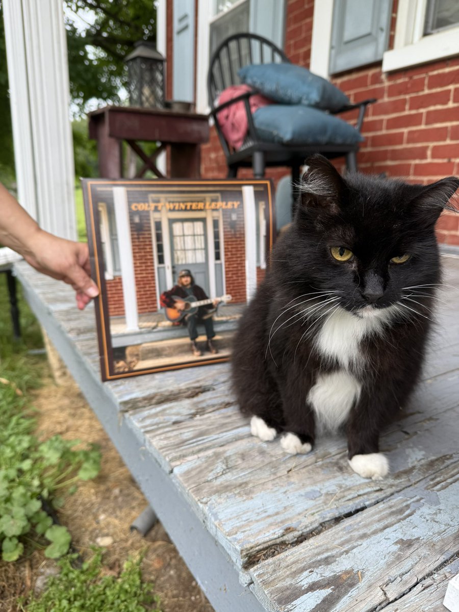 Here's my cat named Hot Sausage. She is 14, has one good ear, one good eye, three good legs (she was feral before she retired for a life of luxury). Anyway, Hot Sausage says come to Club Cafe July 11th, we have a 6 piece band lined up, including "Two Show" Read Connolly!