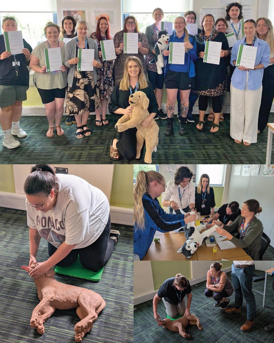 Our animal team took part in a fantastic hands on Canine First Aid session this week, led by Vanessa Woollatt 🐶🩺

Vanessa, one of our Animal Care lecturers and founder of Critters Academy, delivered practical CPD that left the team feeling confident and prepared!

 #AnimalCare