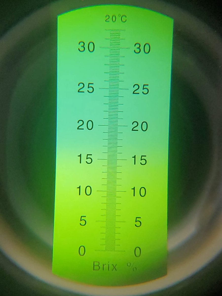This is our first time growing durum in over a decade. We are quite happy with what we see so far! (Mid-term report cards!) This field has some real potential to produce some great seed! #nutrientdensifying #plantnutrition #Brix #highBrixlevels