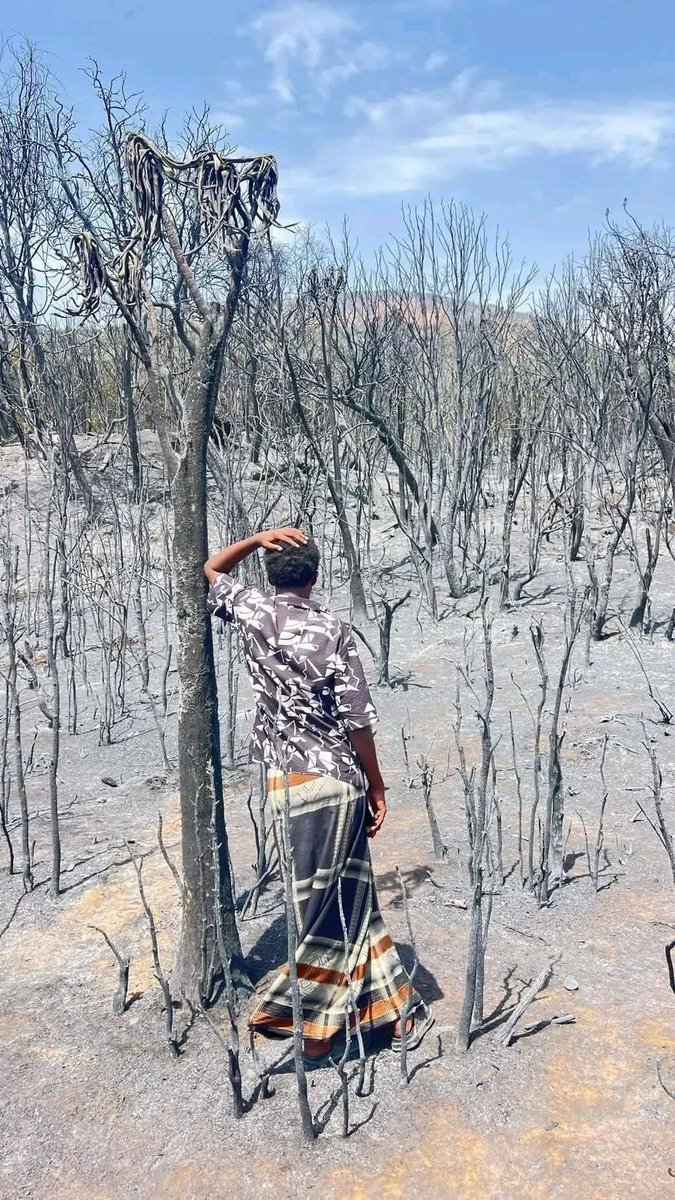 M_Haibe's tweet photo. So sad!
#Daallo https://t.co/fLD2Ljvz6W