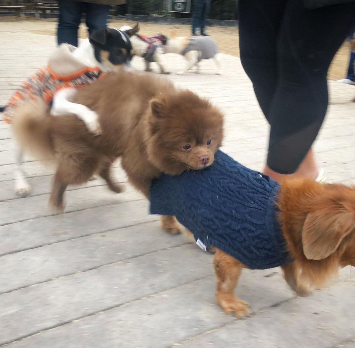 <a href="/trader1sz/">TraderSZ</a> <a href="/bertcoincto/">Bert 🧸 🐶</a> Still holding from day 1 and will keep holding till $1 minimum $BERT TO #BERTRILLIONS