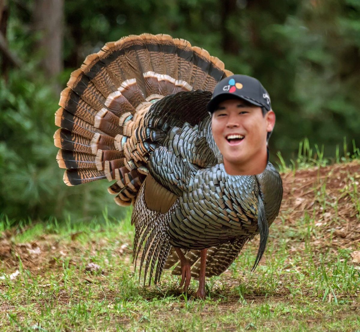 PGATURKEYTRACK's tweet photo. Si Woo Kim - Holes 1-3 ๐ฅ๐ฆ #JohnDeereClassic #TurkeyTracker https://t.co/jcoz0R2q3E