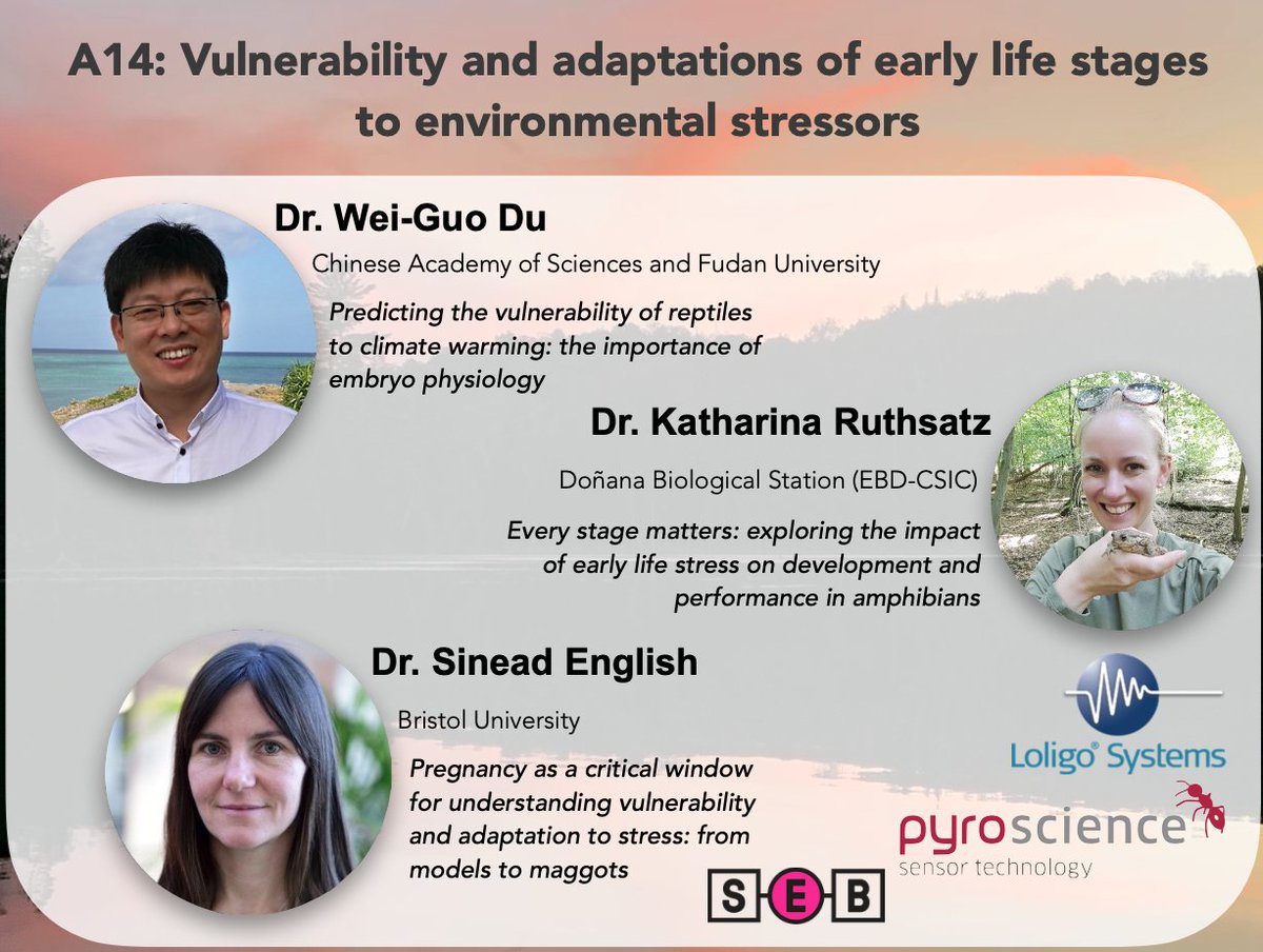 <a href="/SEBiology/">SEB @sebiology.bsky.social</a> starts next week in Antwerp! Join us at our session on "Vulnerability of early life stages to stressors" (A14) with an incredible lineup of talks and guest speakers! 🐣

Session starts Tuesday at 4:00 PM in Gorilla 3! 🦍

See you there! ✌️