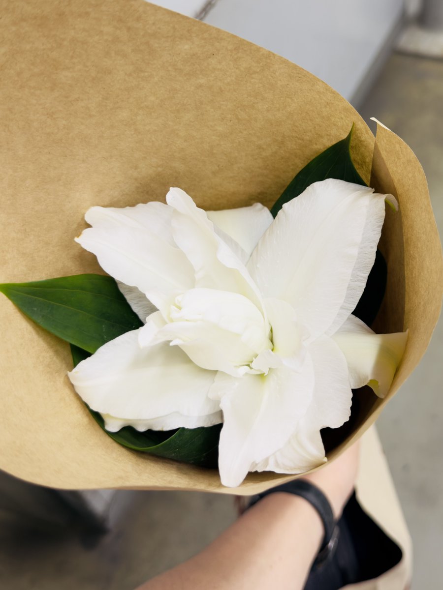 岡本貴也 tweet media