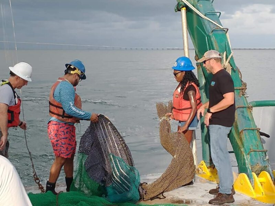 🗣️Have you ever had #STEM mentor who made a lasting impact on your life or career? What’s one lesson, moment, or piece of advice that you still carry with you? Share it using #STEMMentor + #SupportNOAACSCs

#NCASM #STEMEducation #STEMLearning