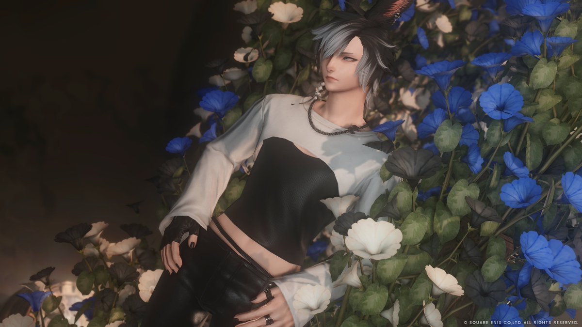 青と白の花に囲まれて
#FF14SS #ヴィエラオス  #うさお  #おはウサ #Studio_lueur