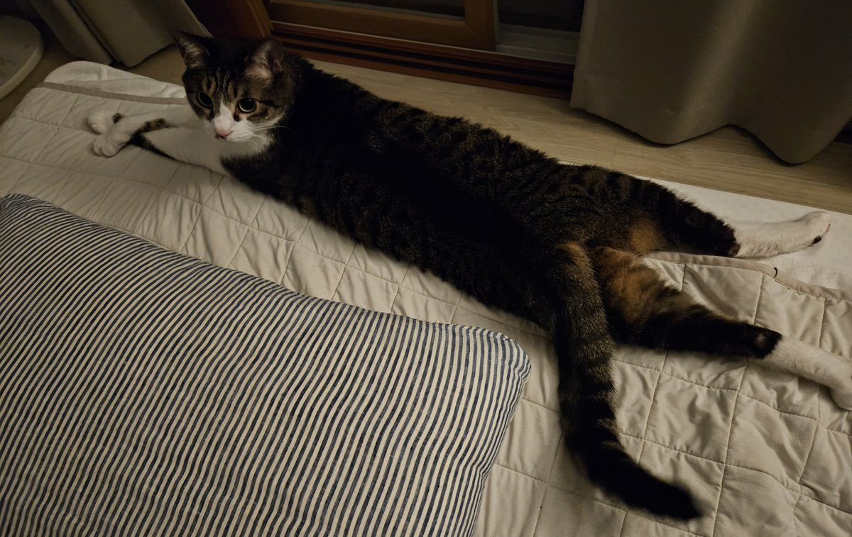 🤝김잔국수 tweet media