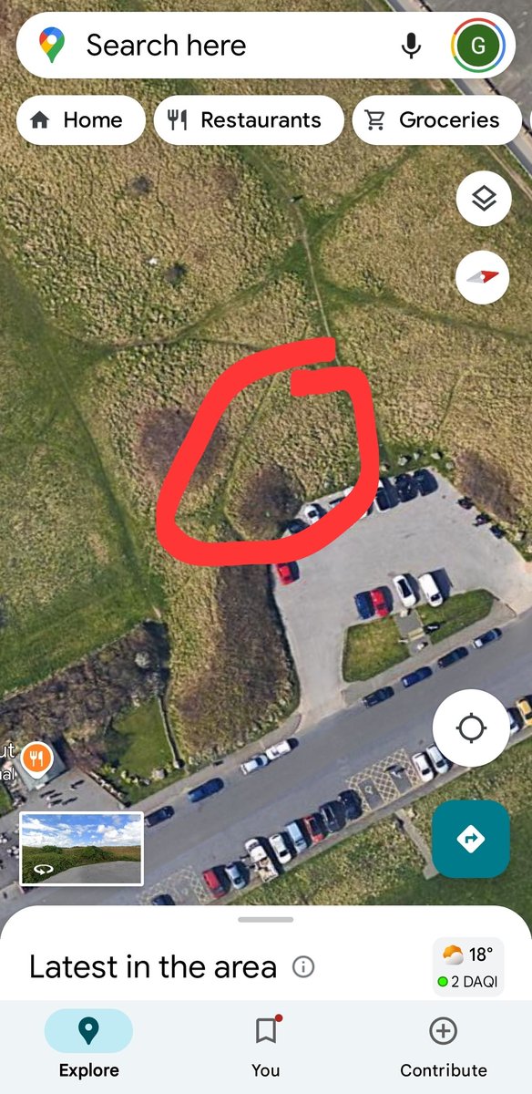 Needed cheering up, so I took myself to Leasowe Lighthouse 
I was searching through the population of Small Skipper,  and luckily enough found an Essex near the Green hut 
Could be a first for the Lighthouse area 🤔