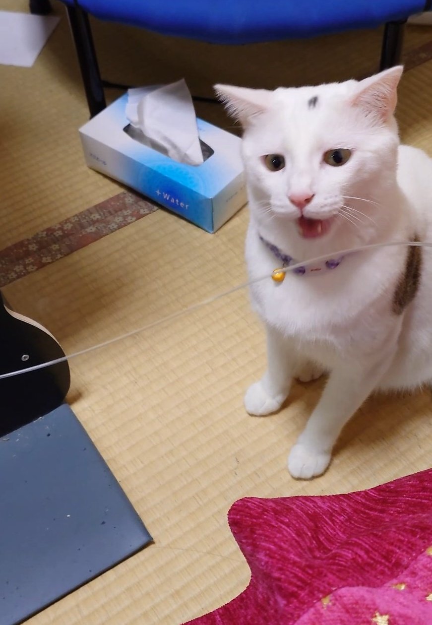 あくせ on X: 