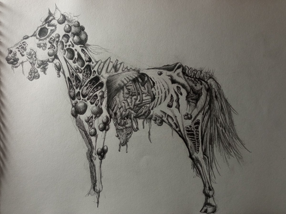 Cranium_Boy tweet media