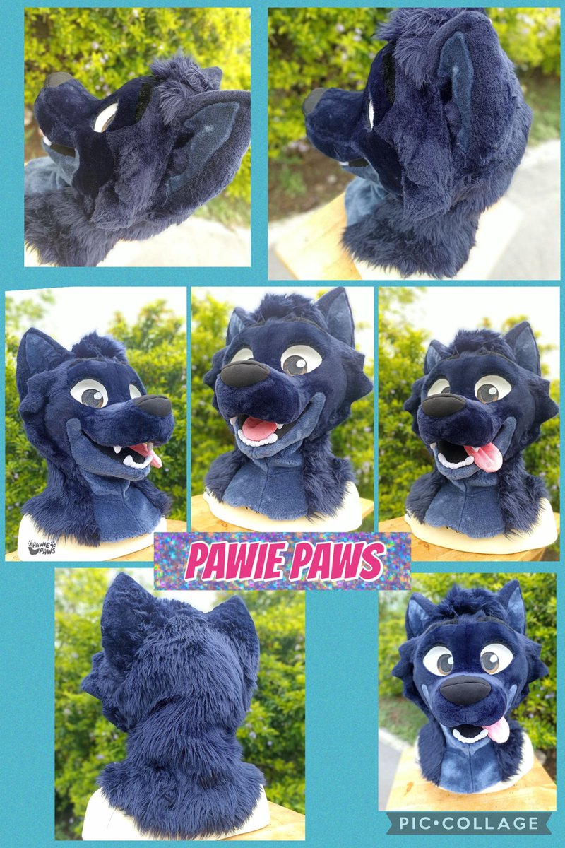PawiePaws's tweet photo. Adventure Wolf head with partial and fullsuit upgrade options available! 🐾

3⃣9⃣0⃣0⃣ USD

✨ Ships worldwide
✨ Fits 24" / 25"
✨ Feel free to send DM

🩵 RTs and comments appreciated ⚜️⚜️⚜️ https://t.co/Jqi6Xgt6QP