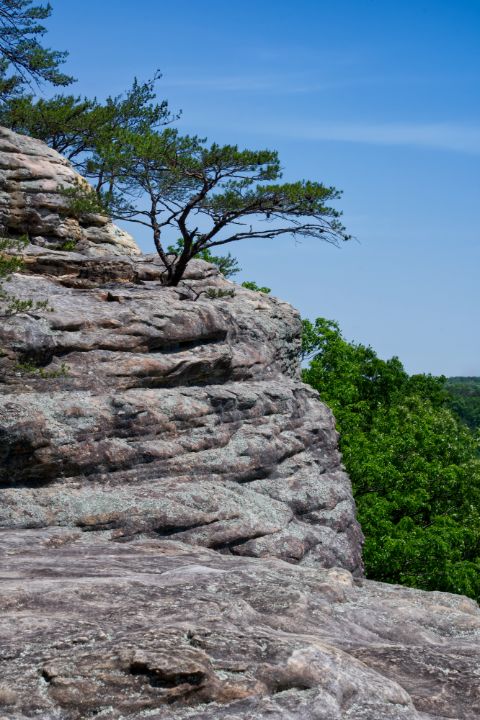 Art of the Day: "Bee Rock Overlook 10". Buy at: ArtPal.com/philperkins?i=…