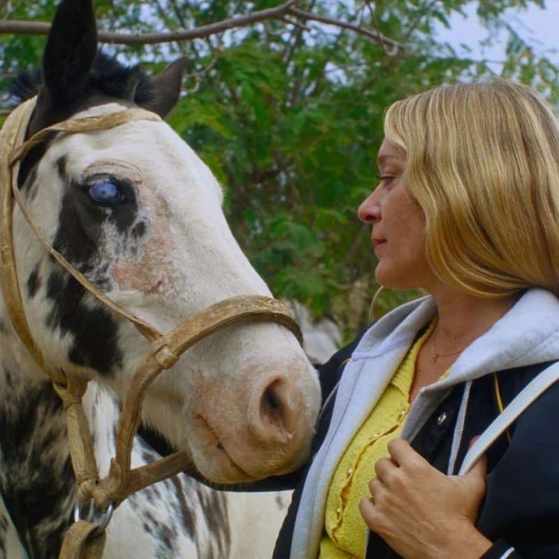 #Cine //«Magic Farm», de Amalia Ulman y «Wild Diamond» de Agathe Riedinger, los estrenos destacados del mes en MUBI, junto con la cruda trilogía PUSHER de Nicolas Winding Refn.
is.gd/VCoE81