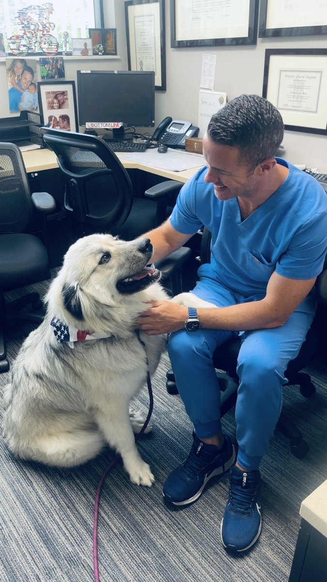 WhatMovesYouMI's tweet photo. Sophie stopped by looking extra festive in her 4th of July bandana! ✨

Thanks for brightening our day, Sophie! 

#LKOOrthopedics #EmployeeOfTheMonth #SophieTheGreatPyrenees #4thOfJulyVibes #PuppyTherapy #PatrioticPup #OfficeDogGoals https://t.co/vMaOH8i8xb